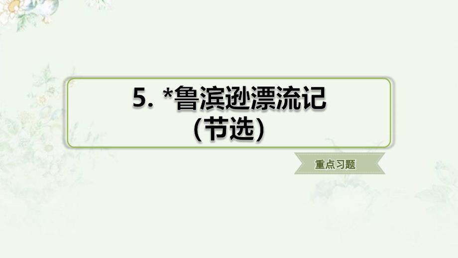 部编人教版六年级下册语文-第5课-鲁宾逊漂流记(节选)-重点习题练习ppt课件_第1页