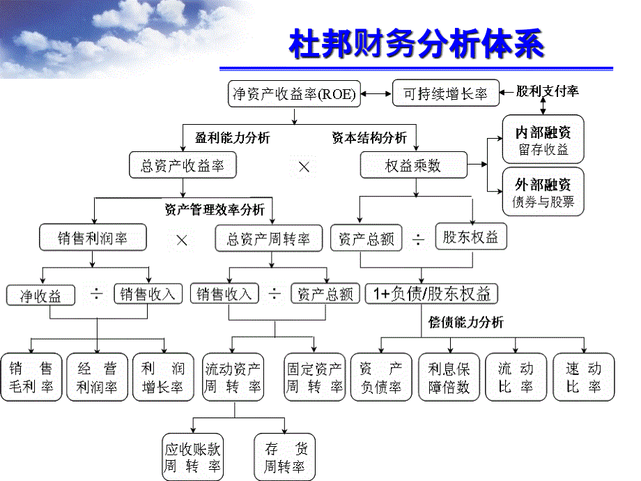 财务比率分析课件_第1页