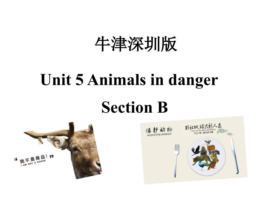 六年级英语上册(牛津上海版深圳)Unit-5《Animals-in-danger》(第二课时)公开课ppt课件_第1页