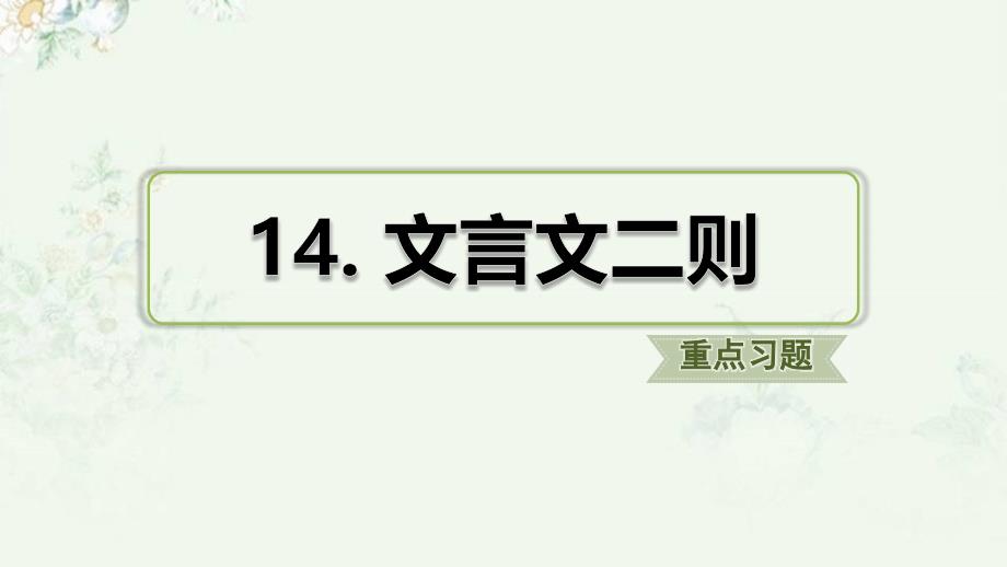 部编人教版六年级下册语文-第14课-文言文两则-重点习题练习ppt课件_第1页