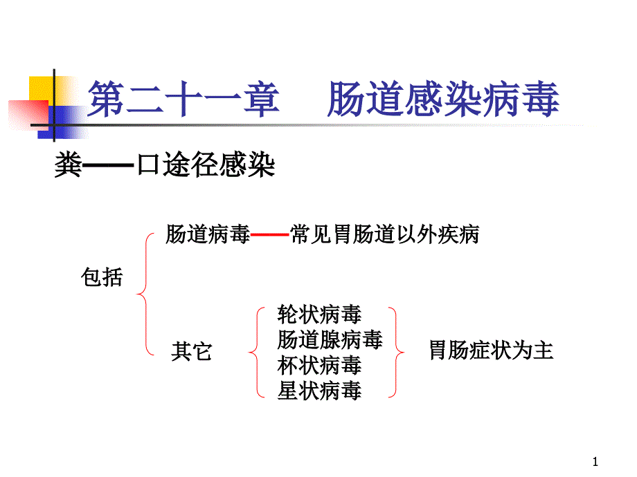 肠道感染病毒课件_第1页