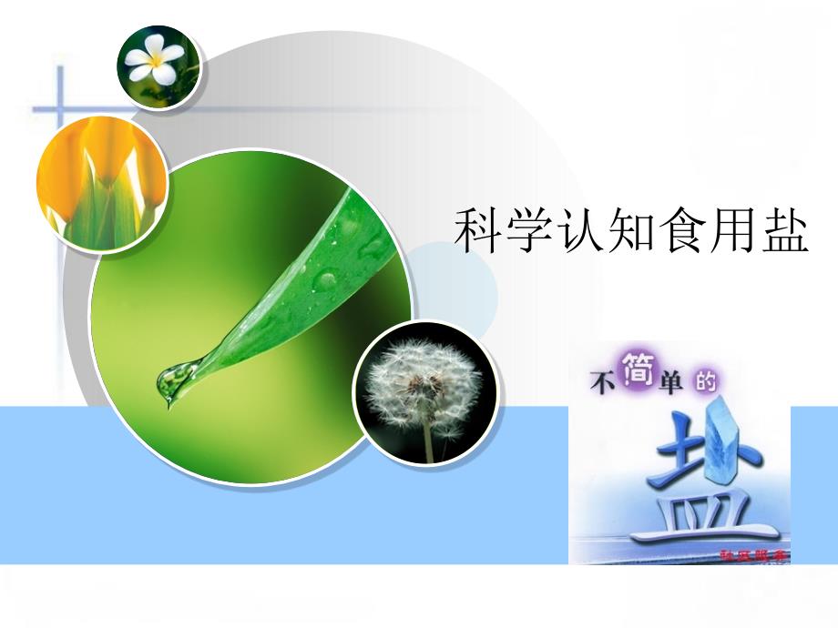 科学认知食用盐课件_第1页