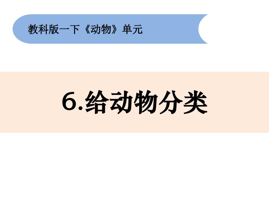 一年级下册科学《给动物分类》教科版课件_第1页