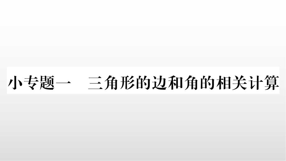 人教版八年级数学上册-小专题课件_第1页