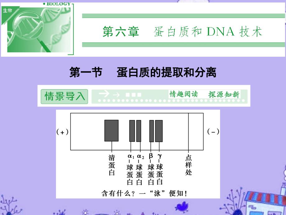 高中生物61蛋白质的提取和分离ppt课件中图版选修_第1页