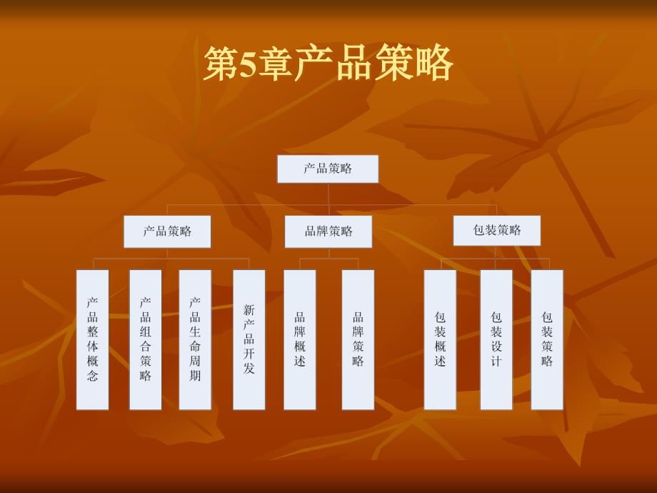 市场营销学第5章课件_第1页