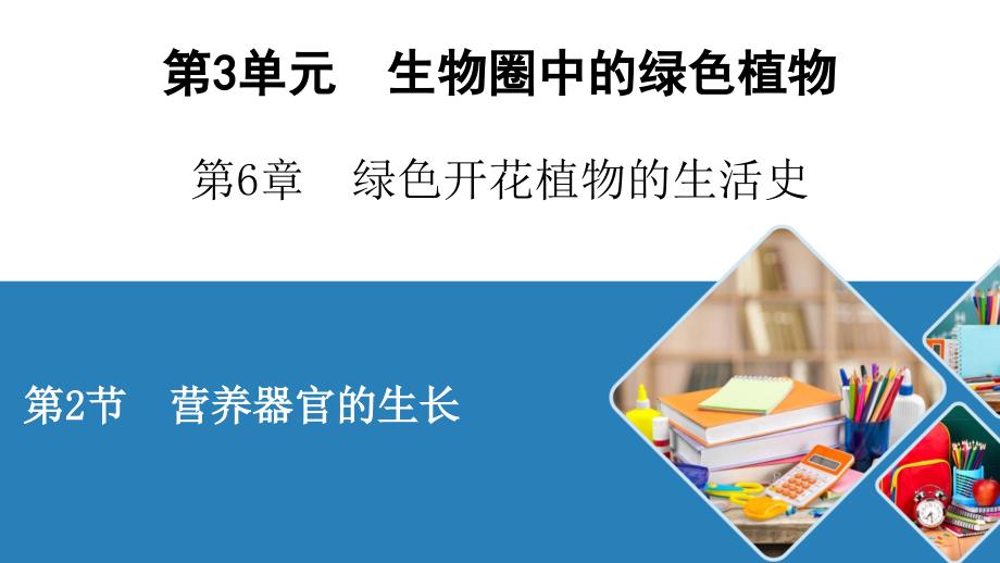 北师大生物七年级上册营养器官的生长课件_第1页