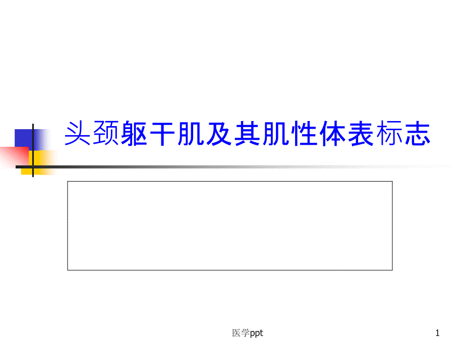 项目6：头颈躯干肌及其肌性体表标志课件_第1页