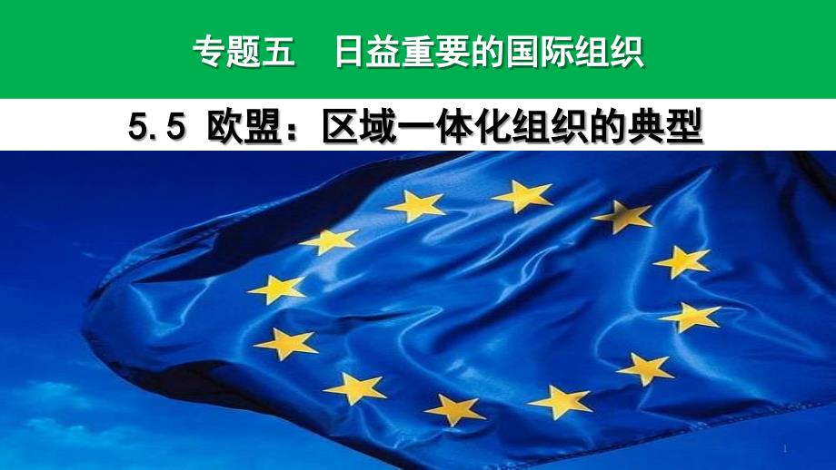 高中政治人教版选修3ppt课件55欧盟区域一体化组织的典型_第1页