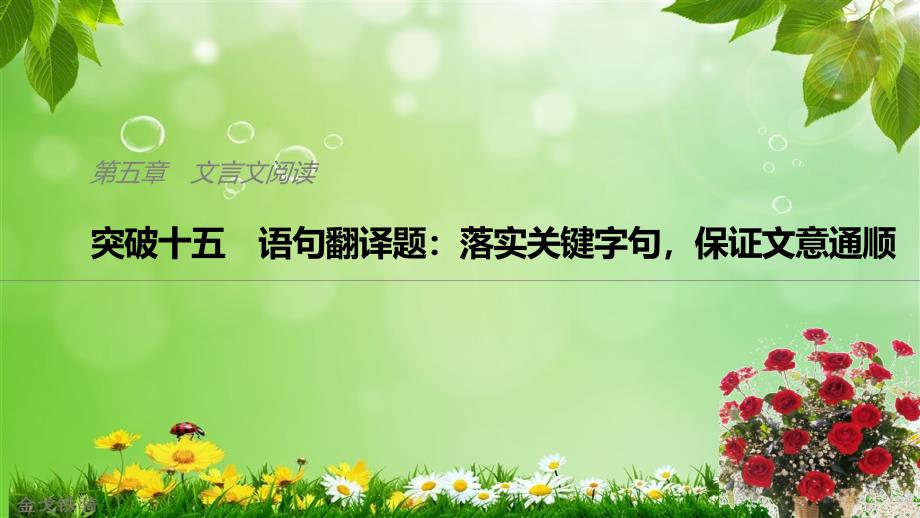 高三二轮复习文言翻译之特殊句式ppt课件_第1页