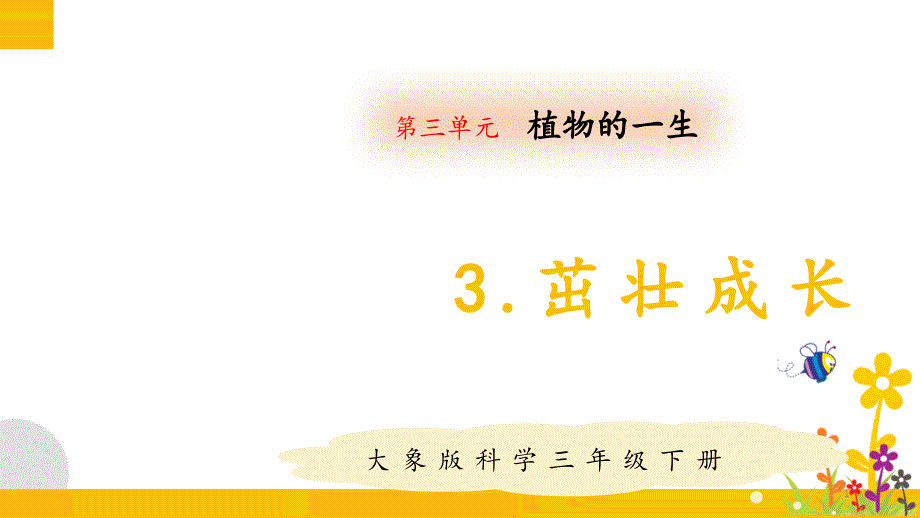 大象版(新教材)小学科学三年级下册3.3茁壮成长教学ppt课件_第1页