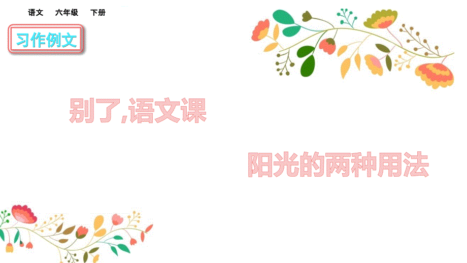 部编六年级语文下册习作例文ppt课件初试身手_第1页