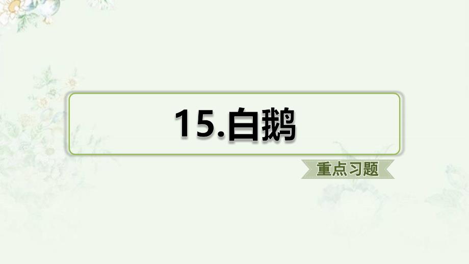 部编人教版四年级下册语文第15课白鹅重点习题练习ppt课件_第1页