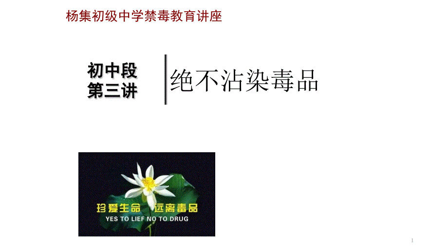 初级中学禁毒教育讲座课件_第1页