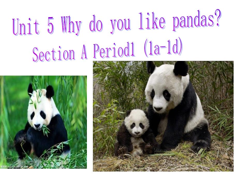 人教版英语七年级下册Unit5-Why-do-you-like-pandas-Section-A1a-1cppt课件_第1页