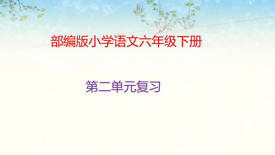 六年级下册语文第二单元复习ppt课件_第1页