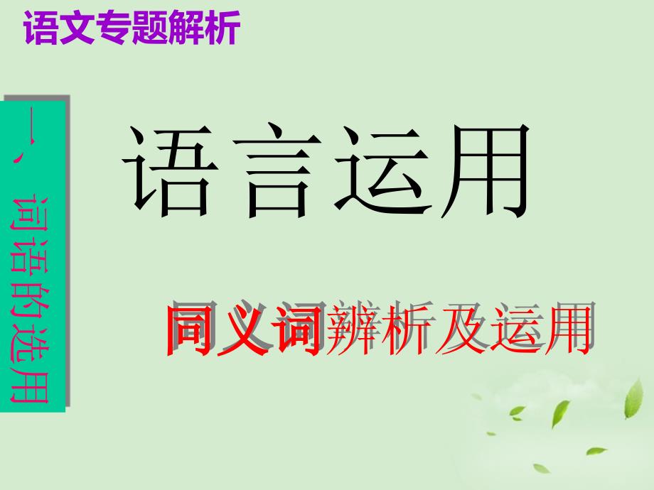 高考语文语言运用-同义词辨析及运用ppt课件_第1页