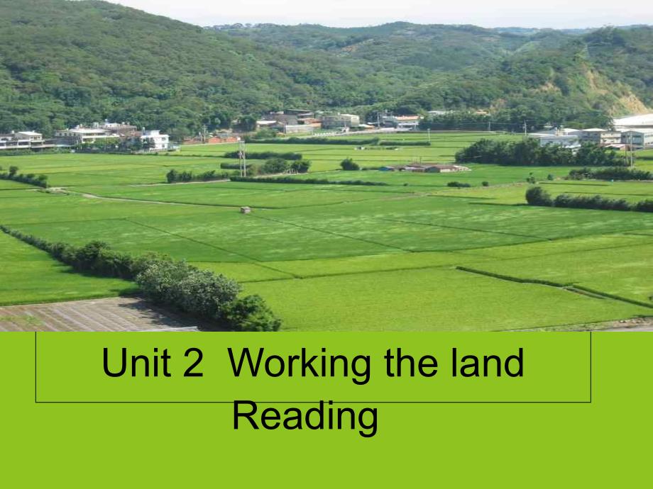 人教高中英语必修4Unit2-Reading课件_第1页