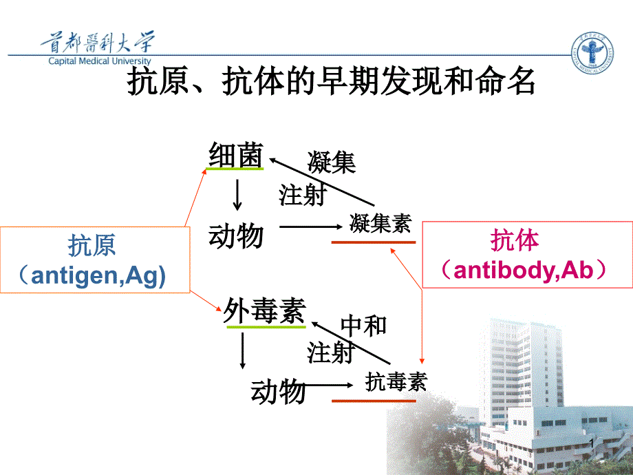 抗原专业知识主题讲座ppt课件_第1页