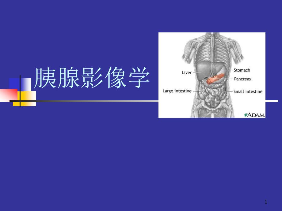 胰腺影像学诊断课件_第1页