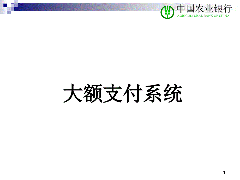 大小额支付系统讲义课件_第1页