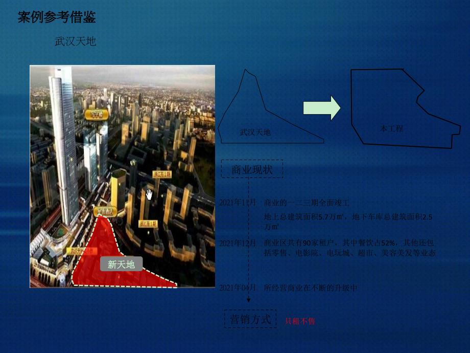 瑞安地产武汉项目案例研究分析报告_第1页