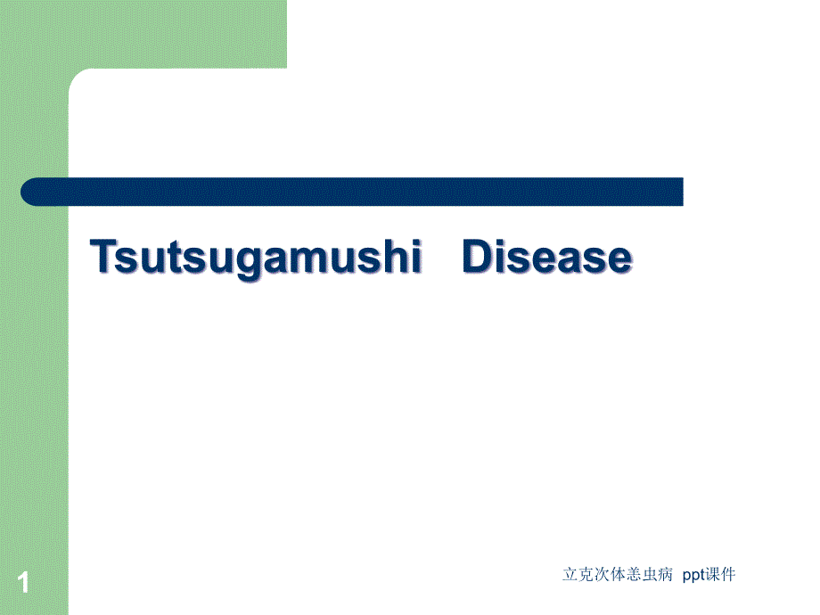 立克次体恙虫病-课件_第1页