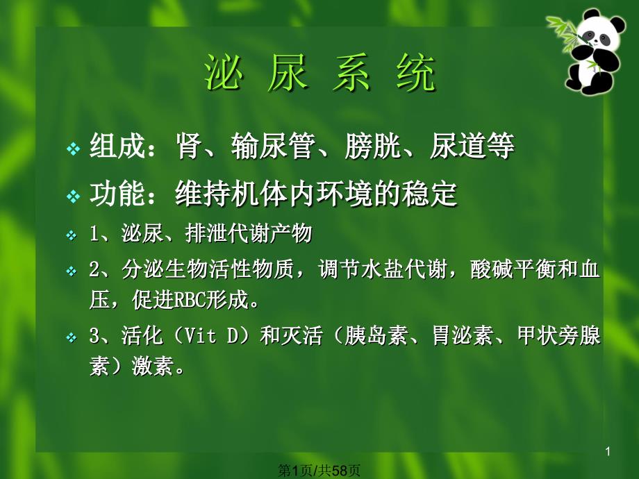 泌尿系统5年制课件_第1页