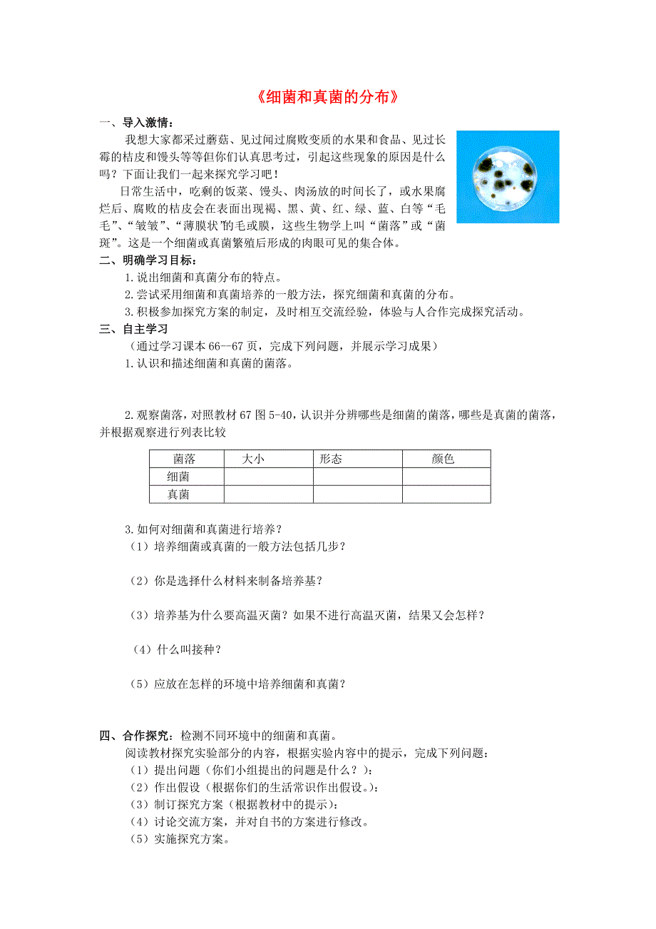 八年级生物上册---细菌和真菌的分布导学案-新版新人教版_第1页