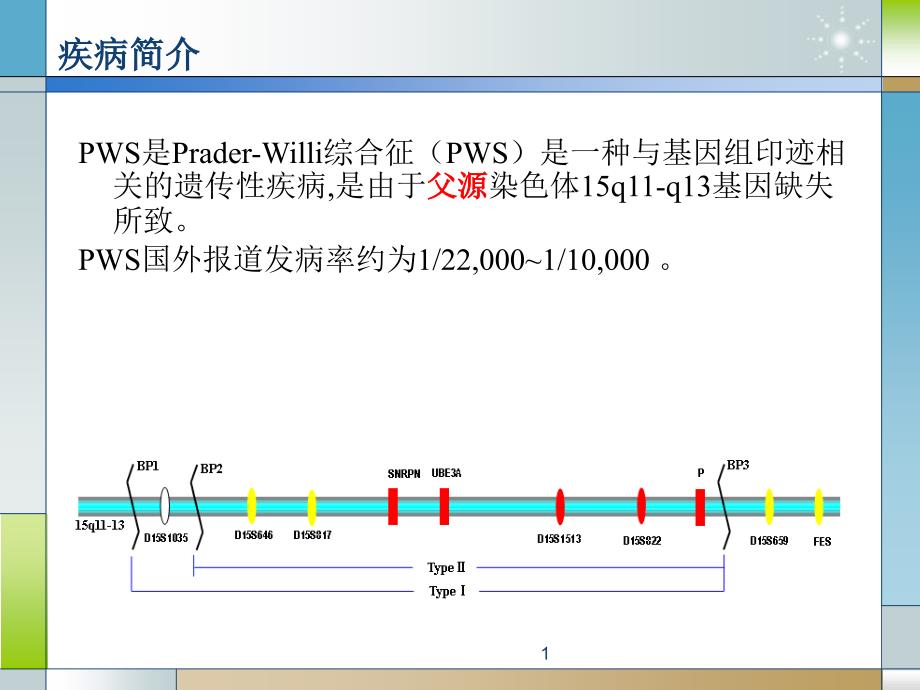 PraderWilli综合征主题讲座ppt课件_第1页