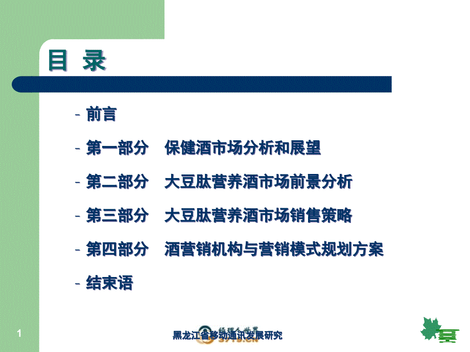 大豆肽营养酒市场营销战略方案主题讲座ppt课件_第1页