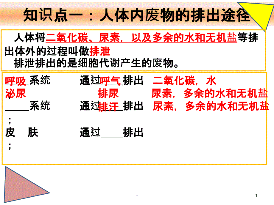 人体内废物的排出复习课件_第1页