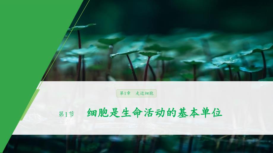 新人教版高中生物必修一《细胞是生命活动的基本单位》ppt课件_第1页