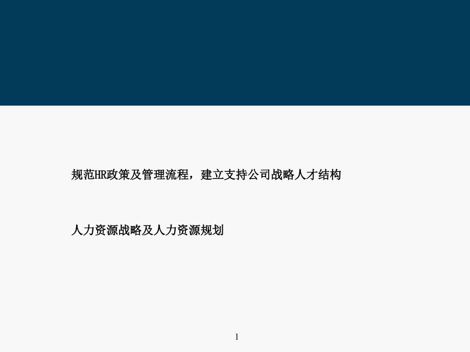 软件股份有限公司-人力资源战略及人力资源规划课件_第1页