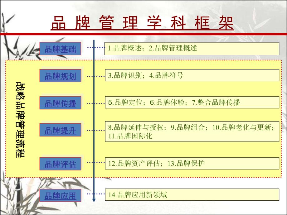 品牌管理学科框架课件_第1页