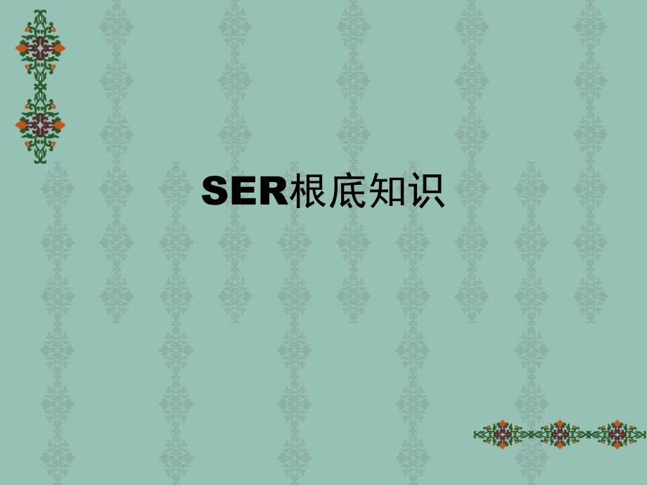 SER基础知识培训教材_第1页