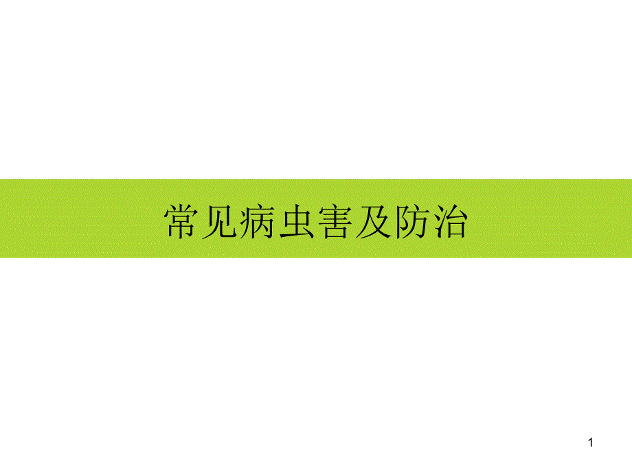 蜜柚病虫害综合防治技术课件_第1页