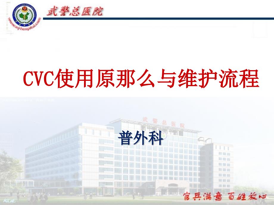 CVC使用原则与维护流程_第1页