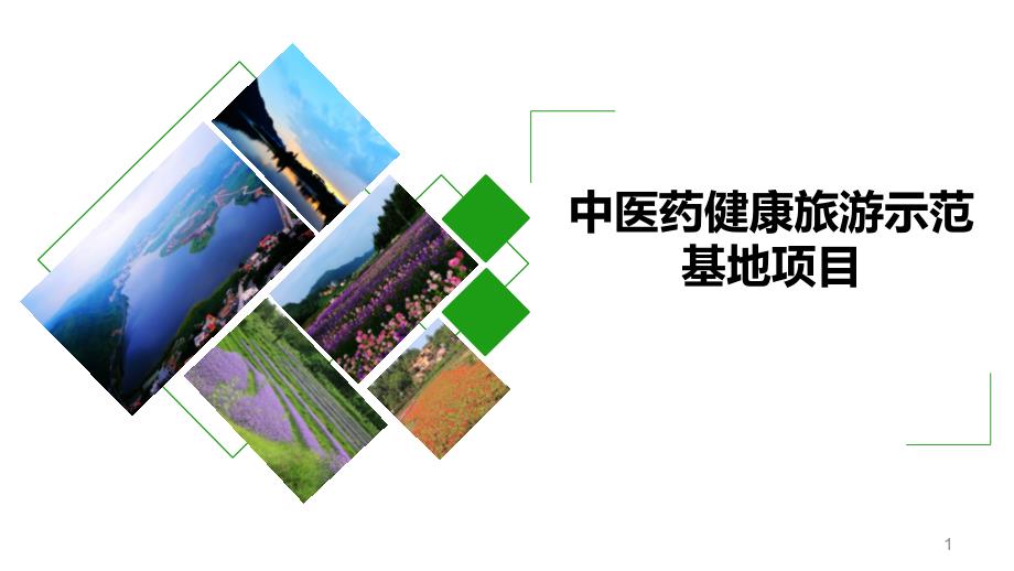 中医药健康旅游示范基地项目课件_第1页