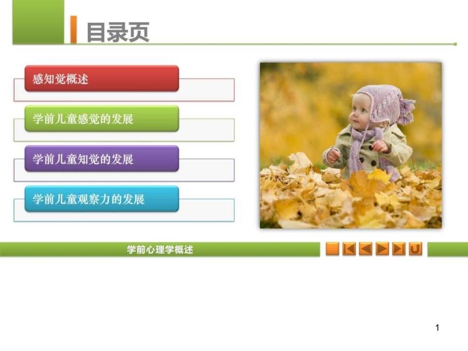 学前心理学（3）学前儿童感知觉的发展概述课件_第1页