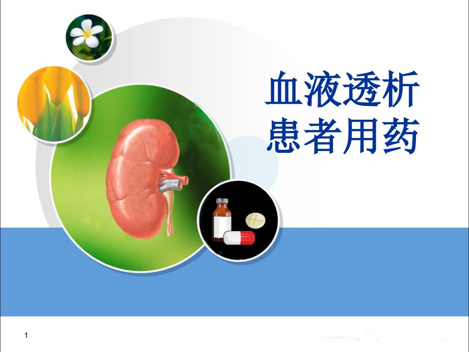 左科-血液透析患者用药课件_第1页