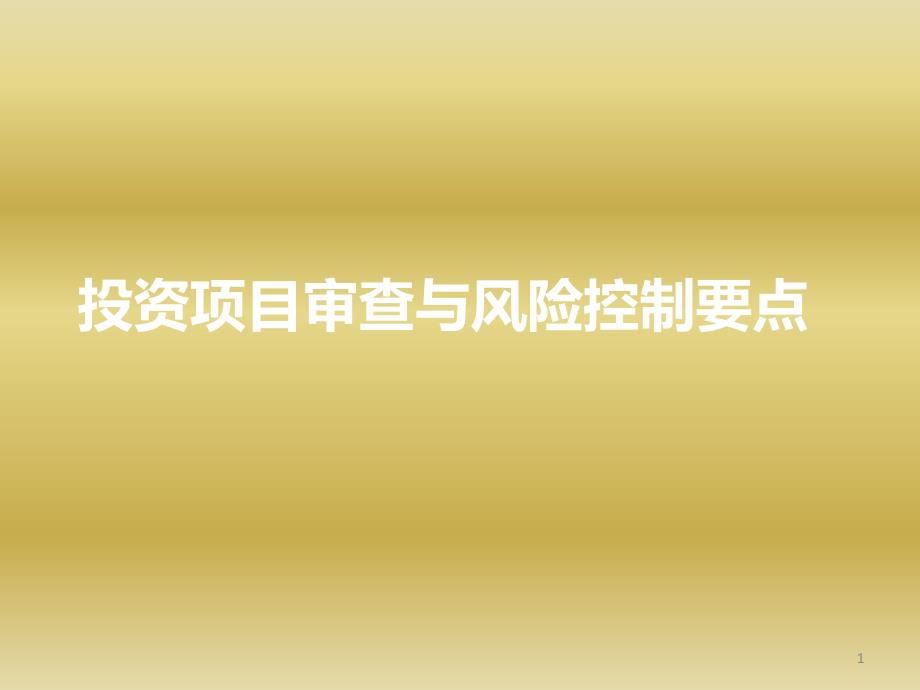 投资项目审查及风险控制要点课件_第1页