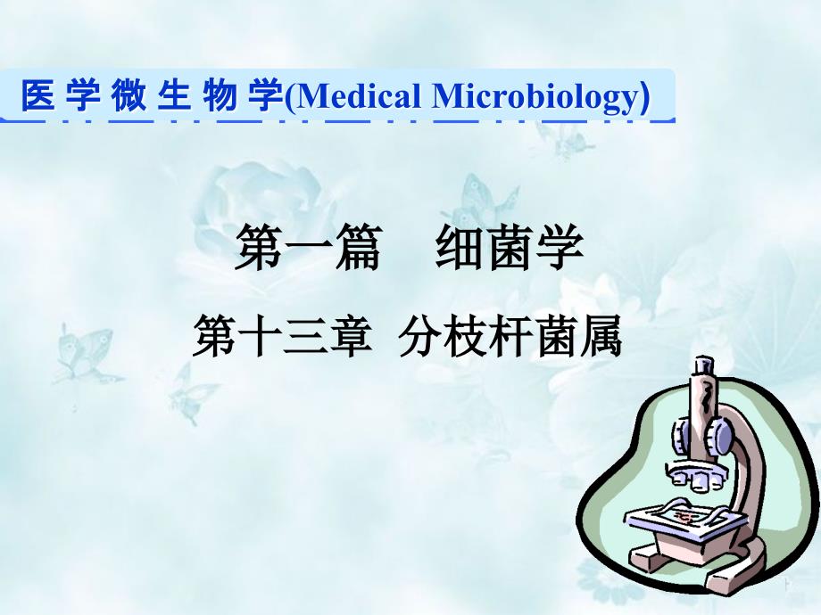 分枝杆菌属课件_第1页