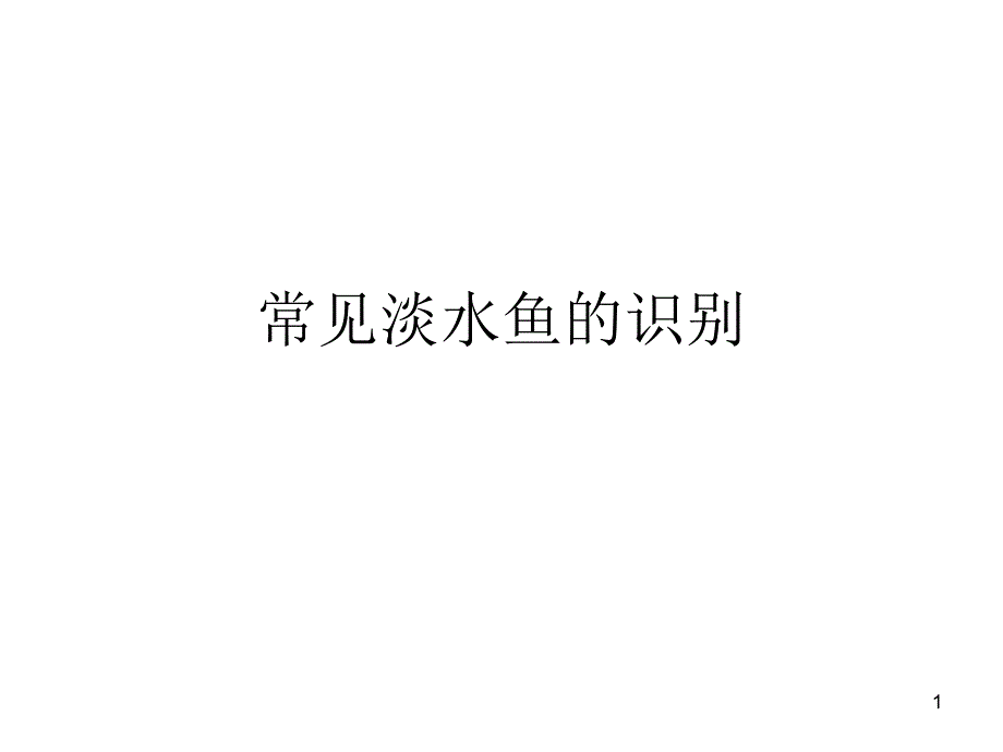 常见淡水鱼课件_第1页