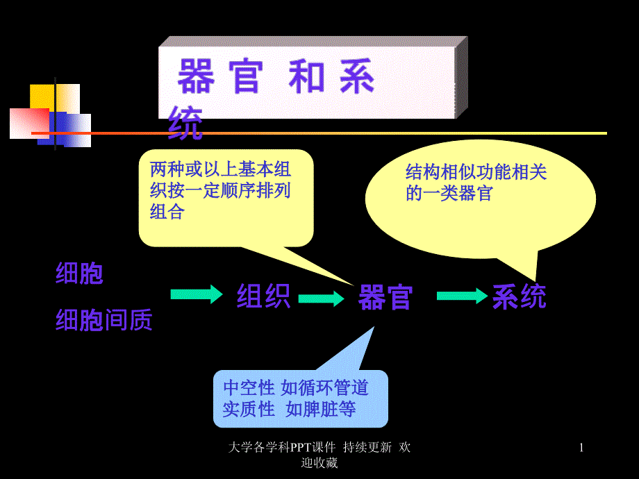 大学ppt课件器官与系统_第1页