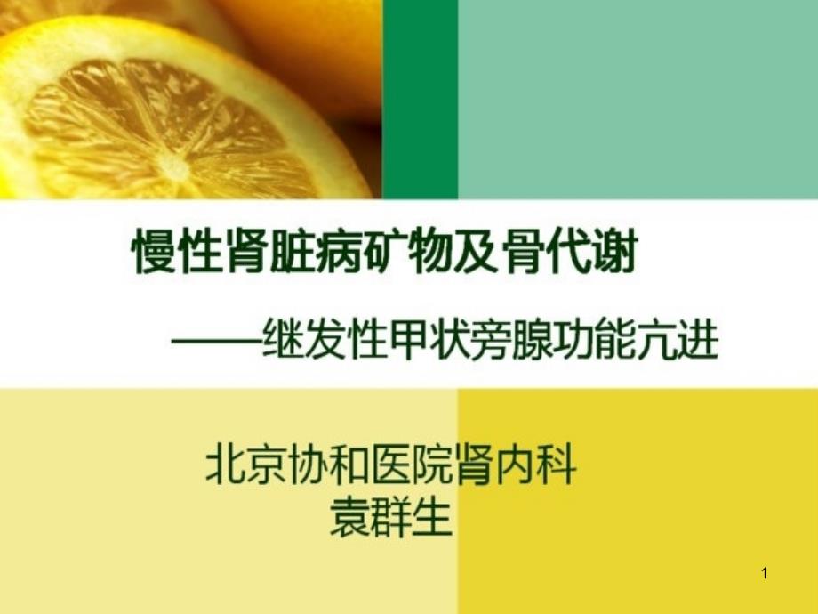 慢性肾脏病矿物及骨代谢--继发性甲状旁腺功能亢进课件_第1页