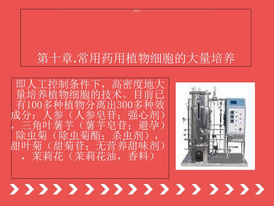 常用药用植物细胞的大量培养课件_第1页