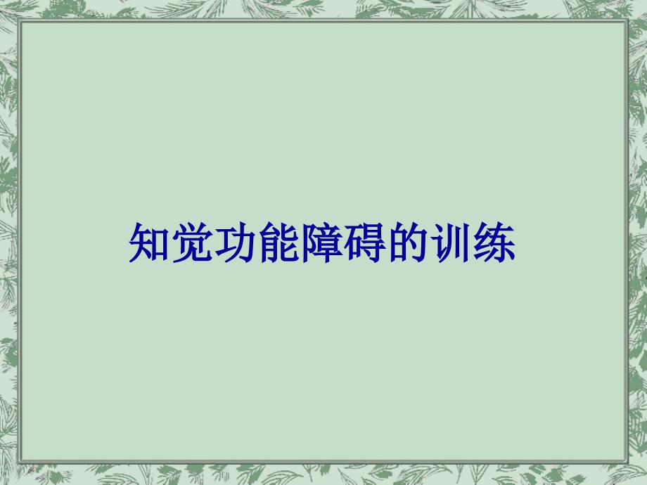 最新知觉和认知功能的训练主题讲座课件_第1页