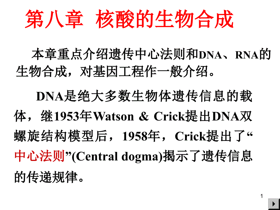 大学教程DNA生物合成课件_第1页