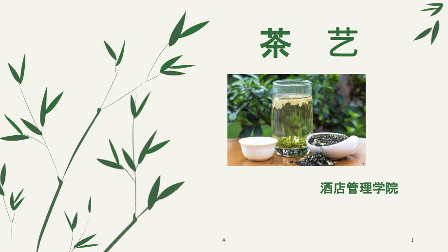 茶艺-认识茶具课件_第1页